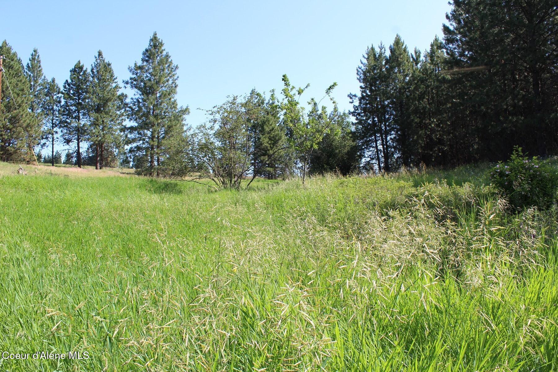 10 A Honor Road Harrison, ID 83833 - Photo 13 of 22 Interior Meadow
