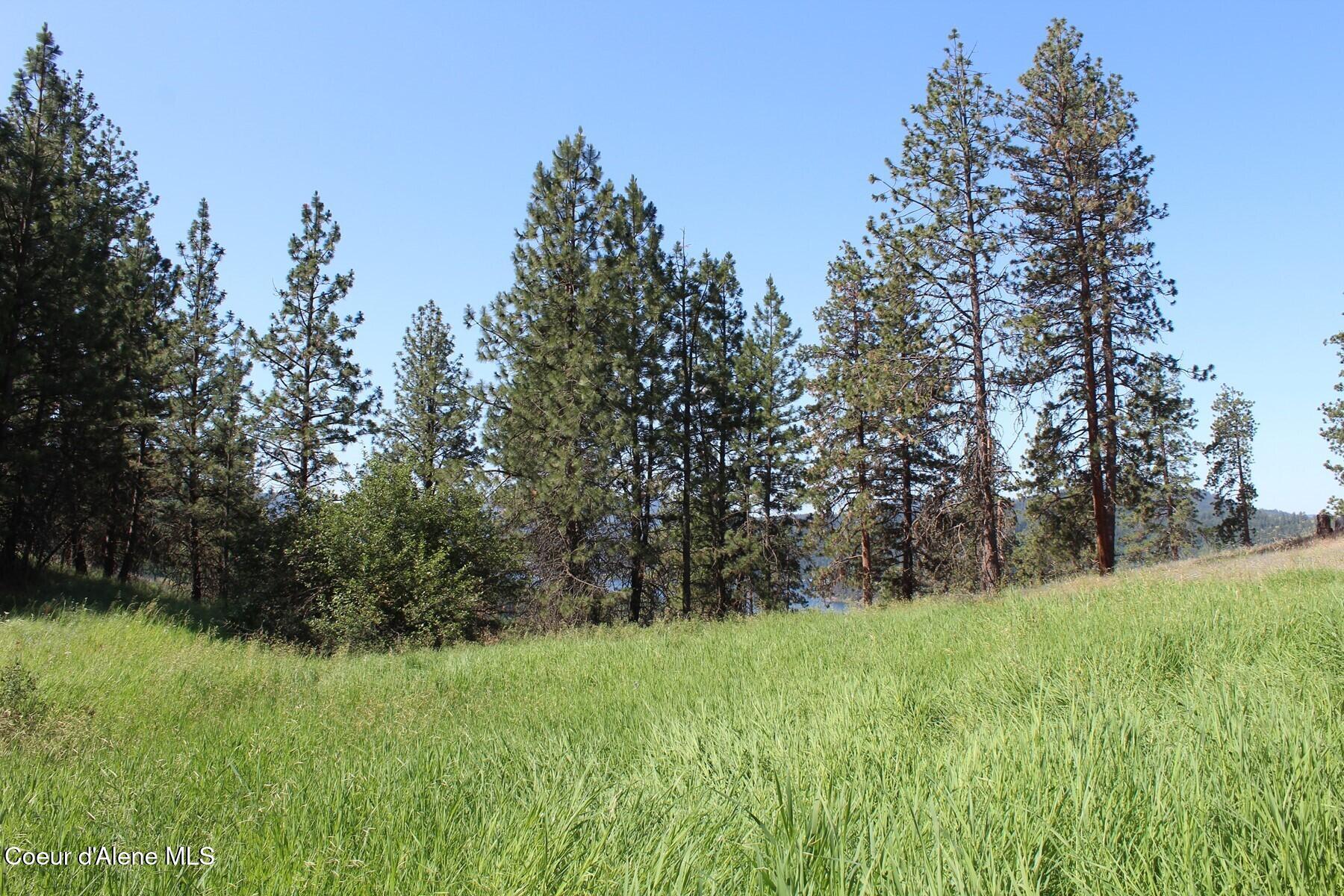 10 A Honor Road Harrison, ID 83833 - Photo 14 of 22 IMG_7178