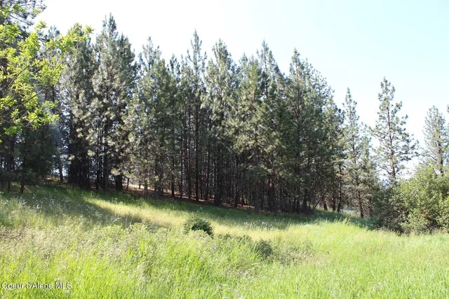 $279,000 | 10 A Honor Road, Harrison, ID 83833