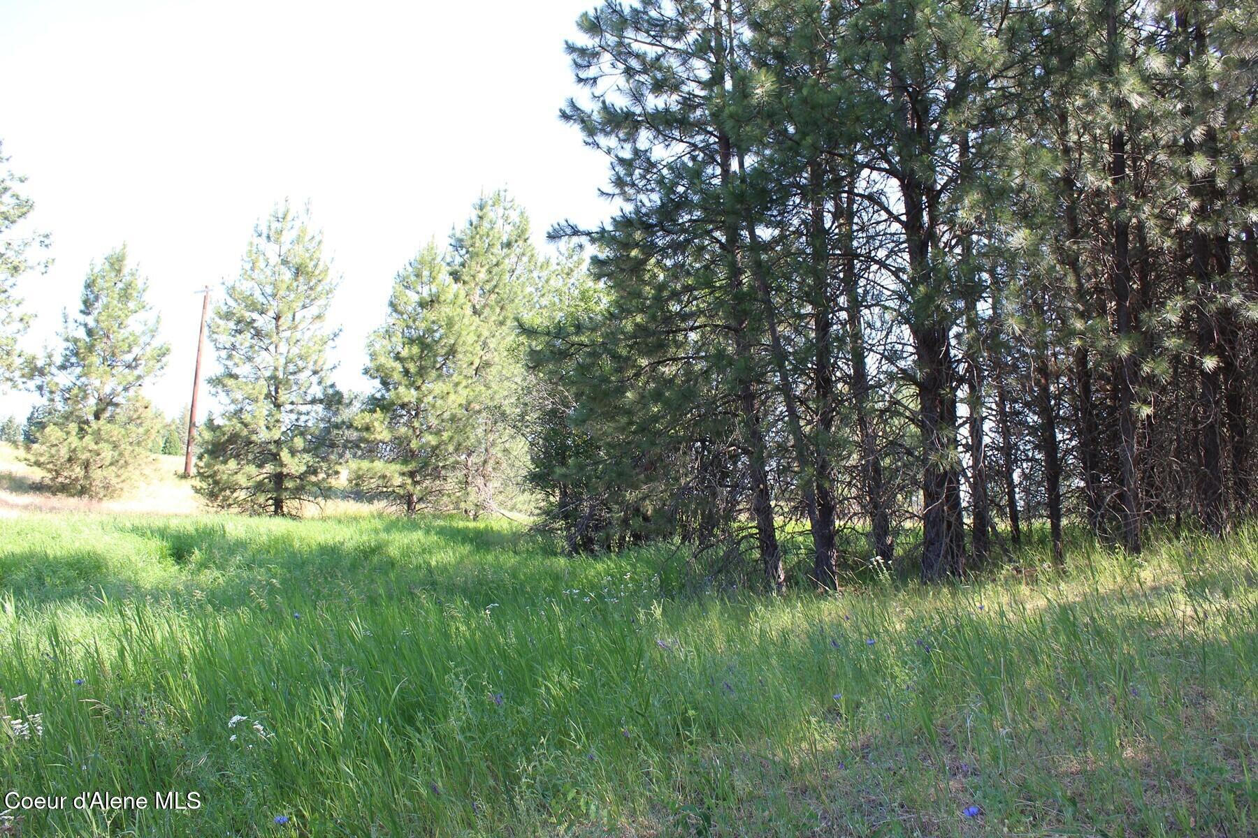 10 A Honor Road Harrison, ID 83833 - Photo 16 of 22 _Interior