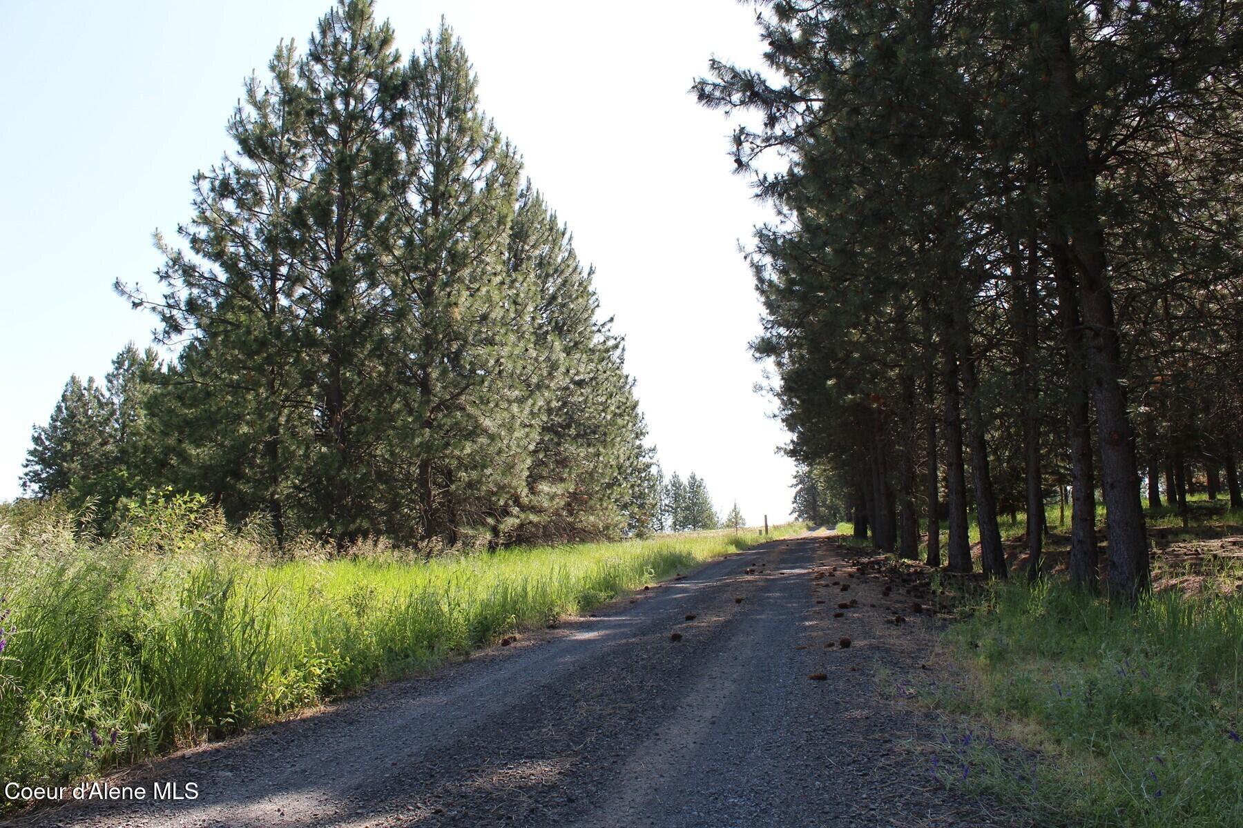 10 A Honor Road Harrison, ID 83833 - Photo 18 of 22 North East Corner and Honor Road