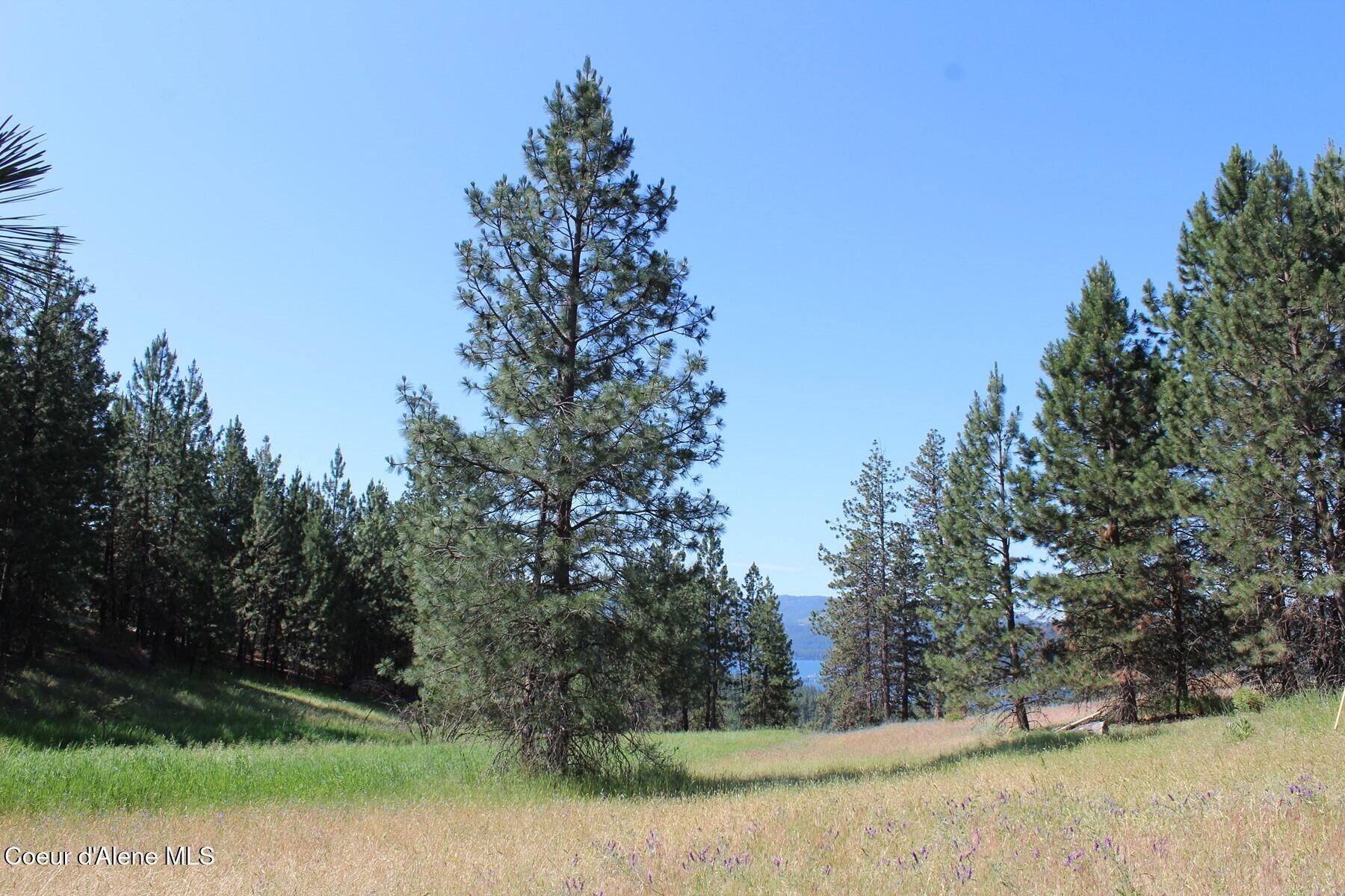 10 A Honor Road Harrison, ID 83833 - Photo 20 of 22 IMG_7190