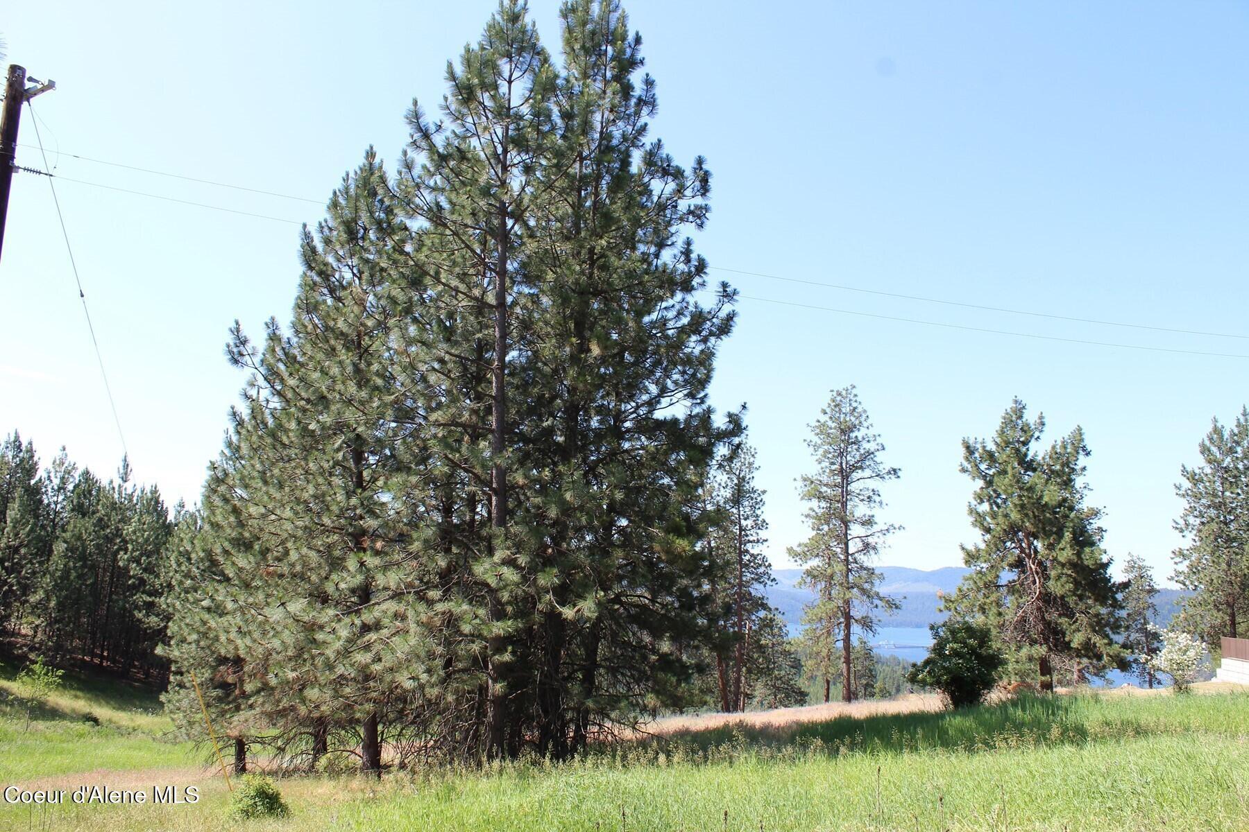 10 A Honor Road Harrison, ID 83833 - Photo 22 of 22 022_Road View Top of Parcel