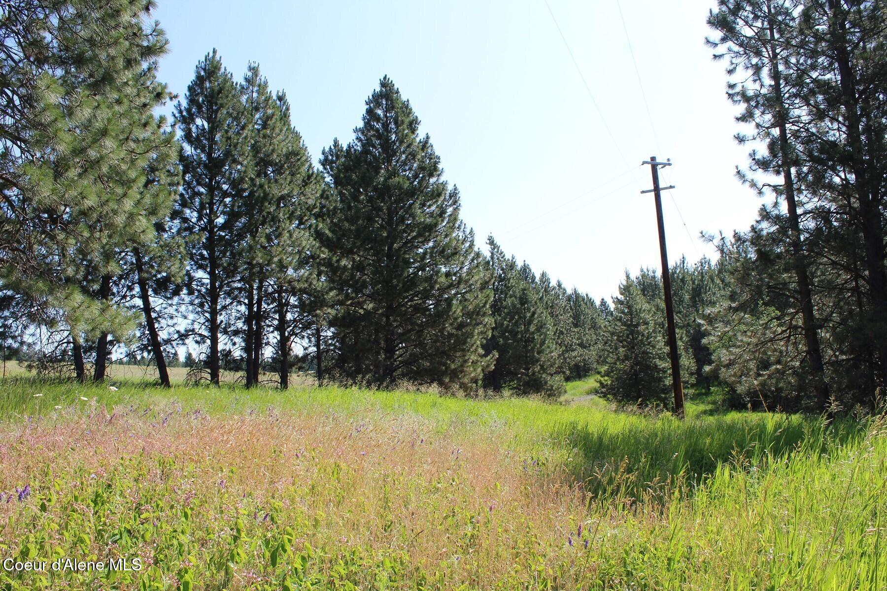 10 A Honor Road Harrison, ID 83833 - Photo 3 of 22 Northwest Corner Power