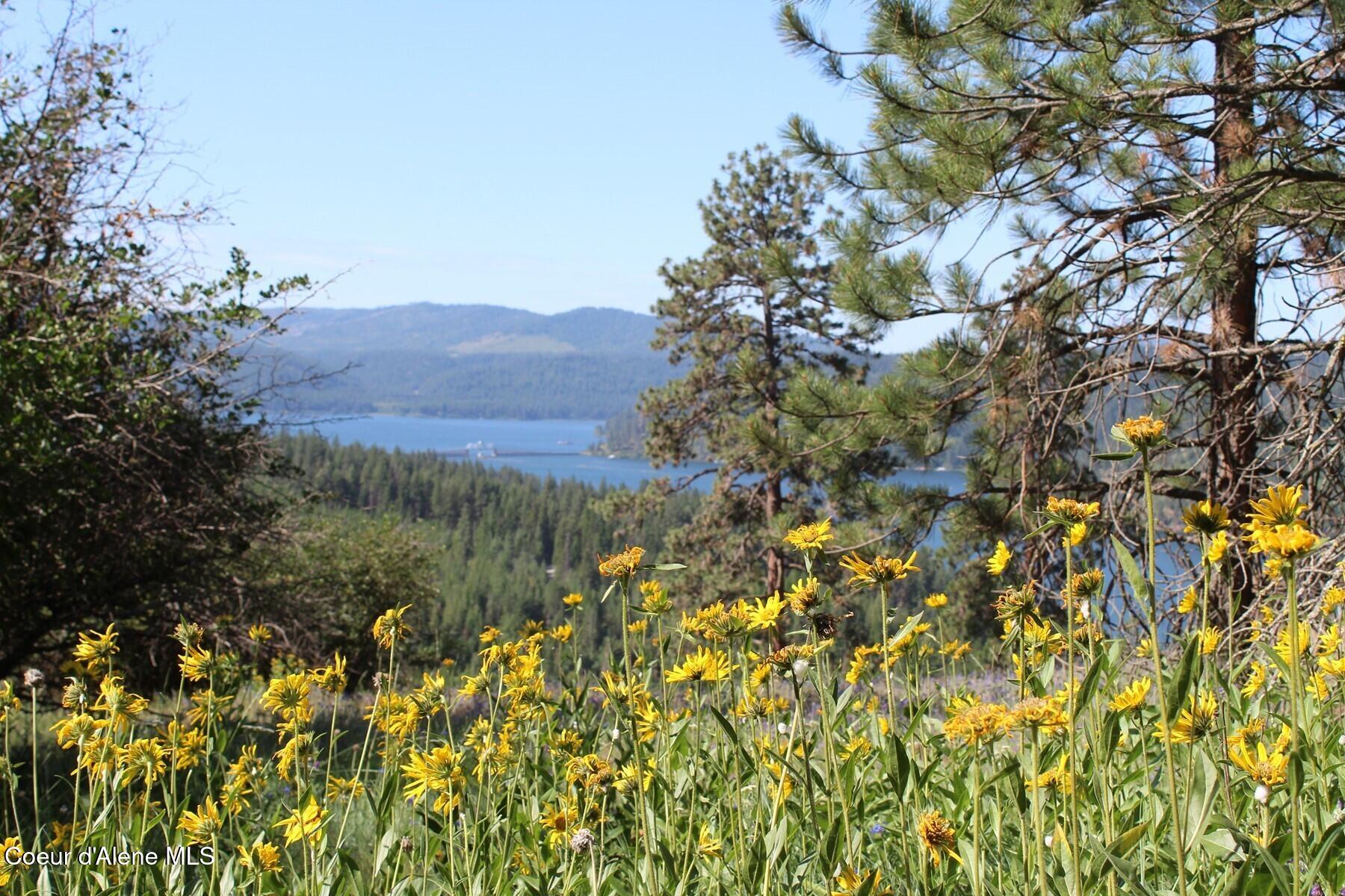 10 A Honor Road Harrison, ID 83833 - Photo 4 of 22 Interior Southern View