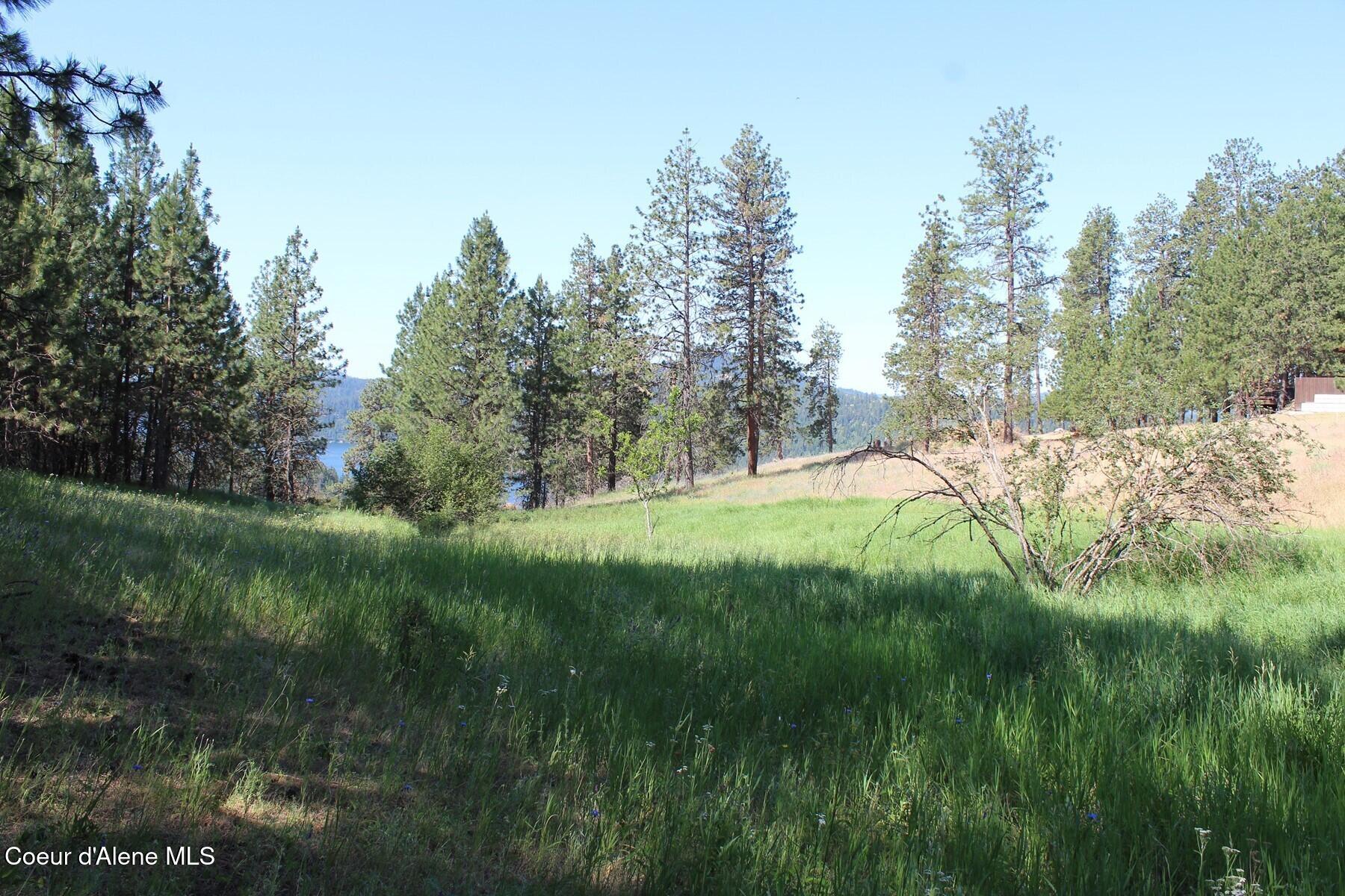10 A Honor Road Harrison, ID 83833 - Photo 5 of 22 Interior View South