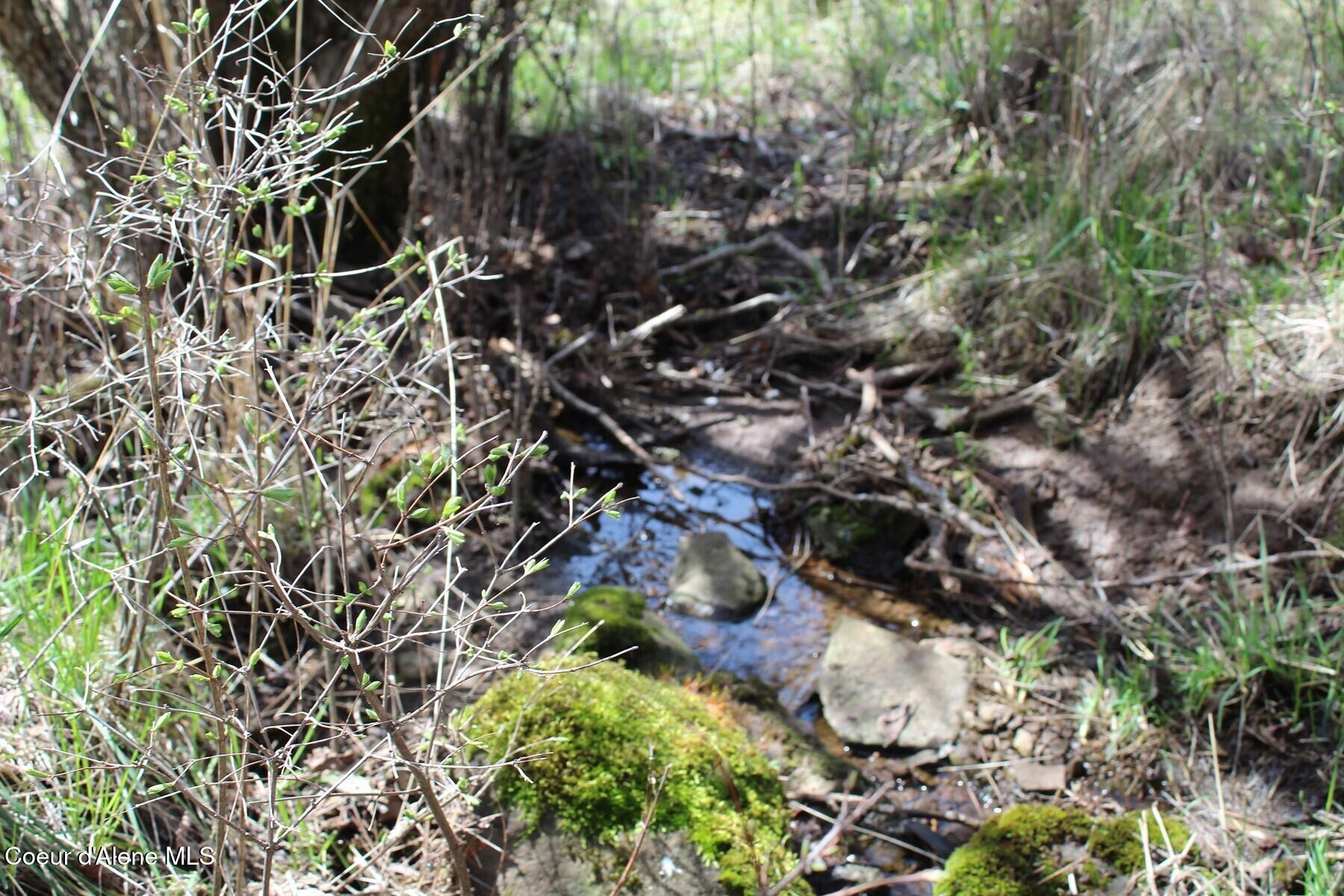 10 A Honor Road Harrison, ID 83833 - Photo 6 of 22 Seasonal Stream