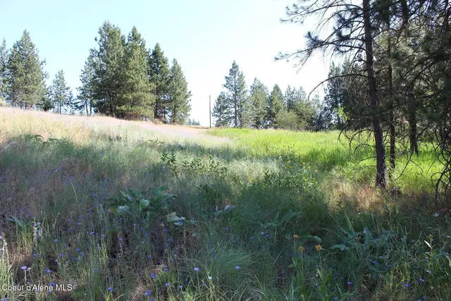 $279,000 | 10 A Honor Road, Harrison, ID 83833