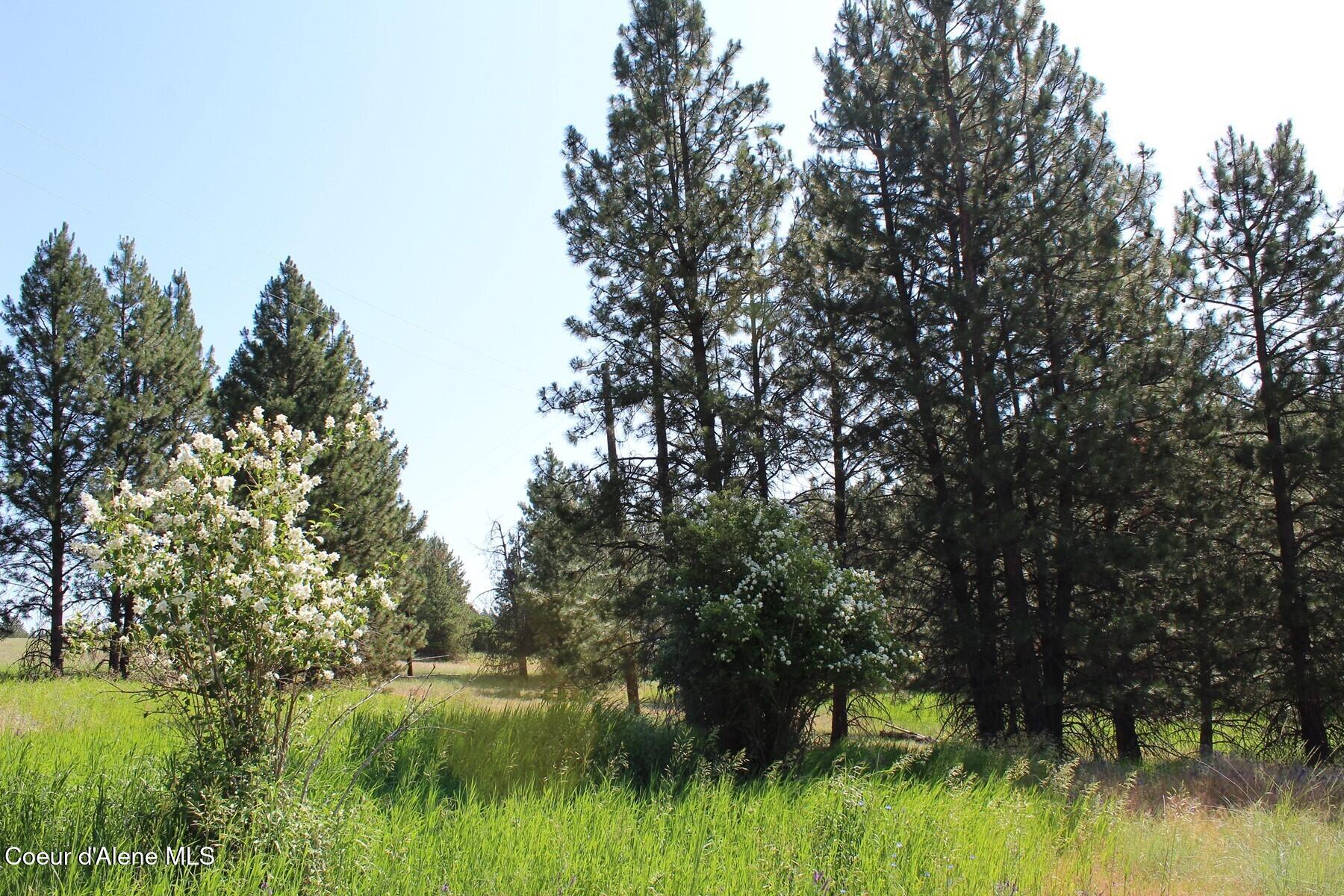 10 A Honor Road Harrison, ID 83833 - Photo 8 of 22 Western Interior