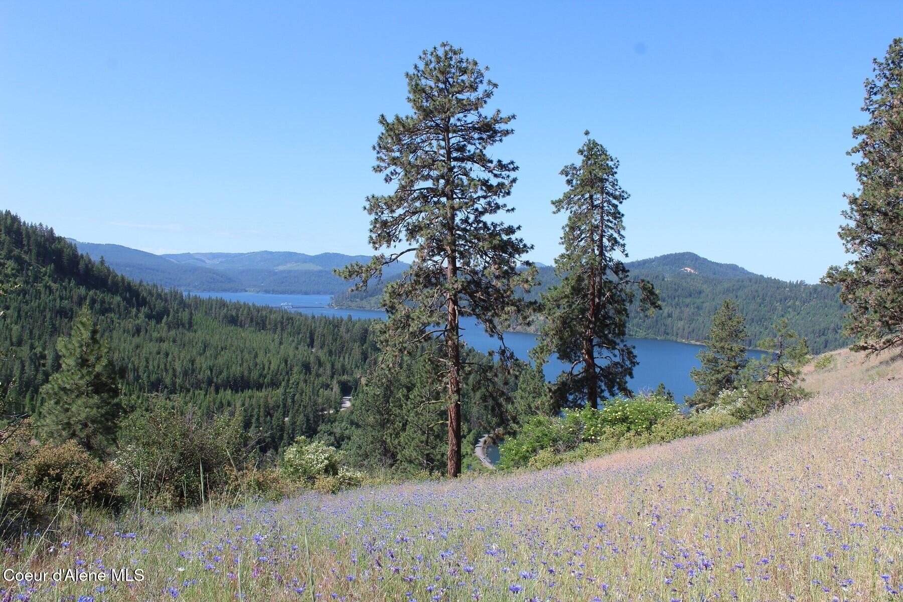 10 A Honor Road Harrison, ID 83833 - Photo 9 of 22 West Line Southern View