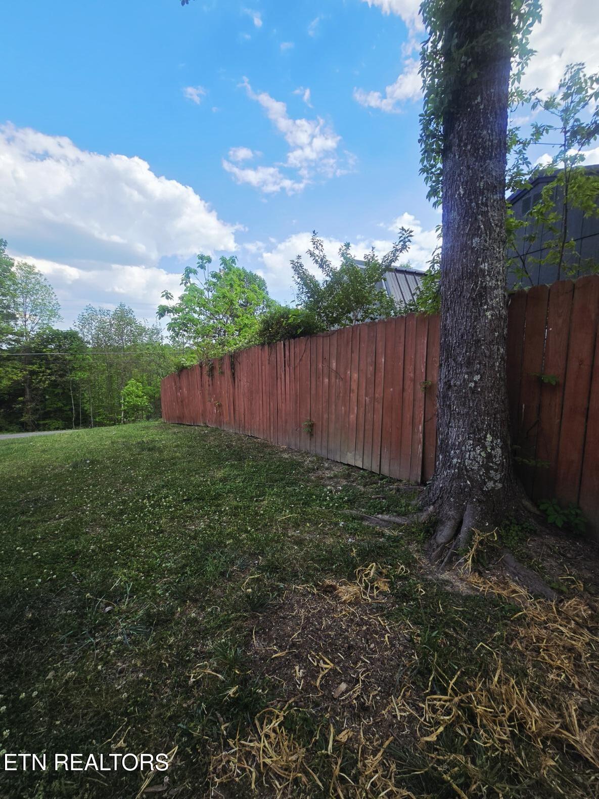 2500 Cherry Fork Road Helenwood, TN 37755 - Photo 42 of 46 20260423_170434