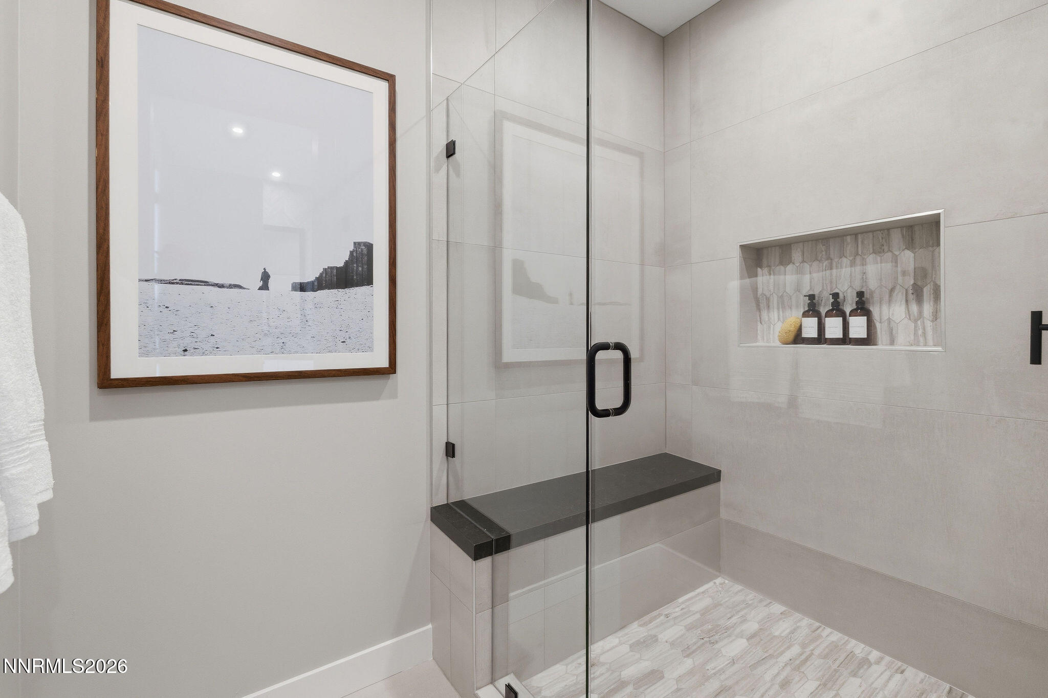 50 Campolina Street Reno, NV 89511 - Photo 38 of 58 50CampolinaSt-65