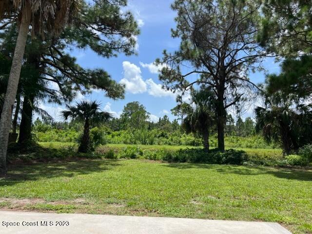 5265 Bridge Road Cocoa, FL 32927 - Photo 8 of 28 Bridge Backyard