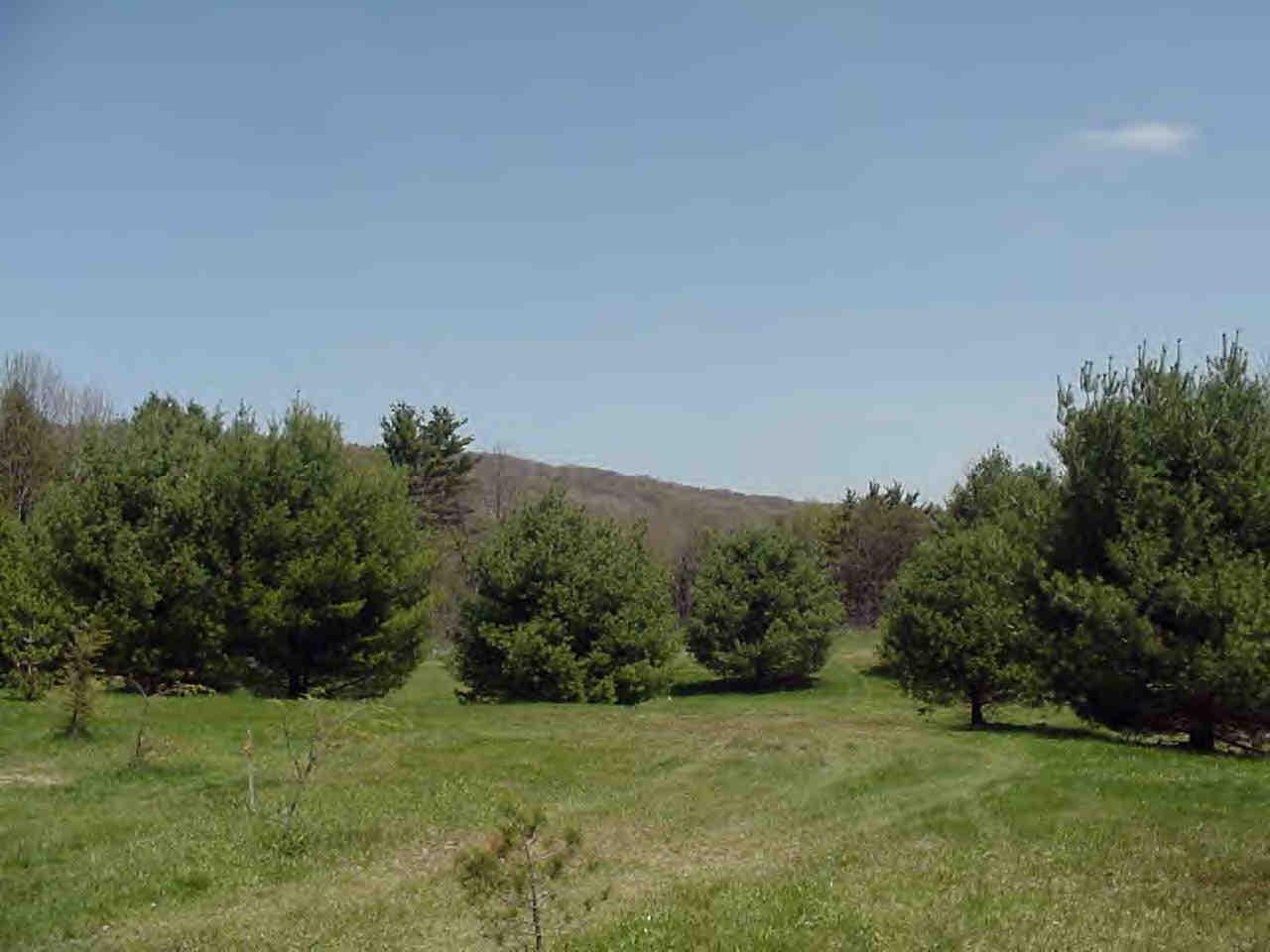 18 Smith Road West Stockbridge, MA 01266 - Photo 6 of 7 a view of a field with trees in background