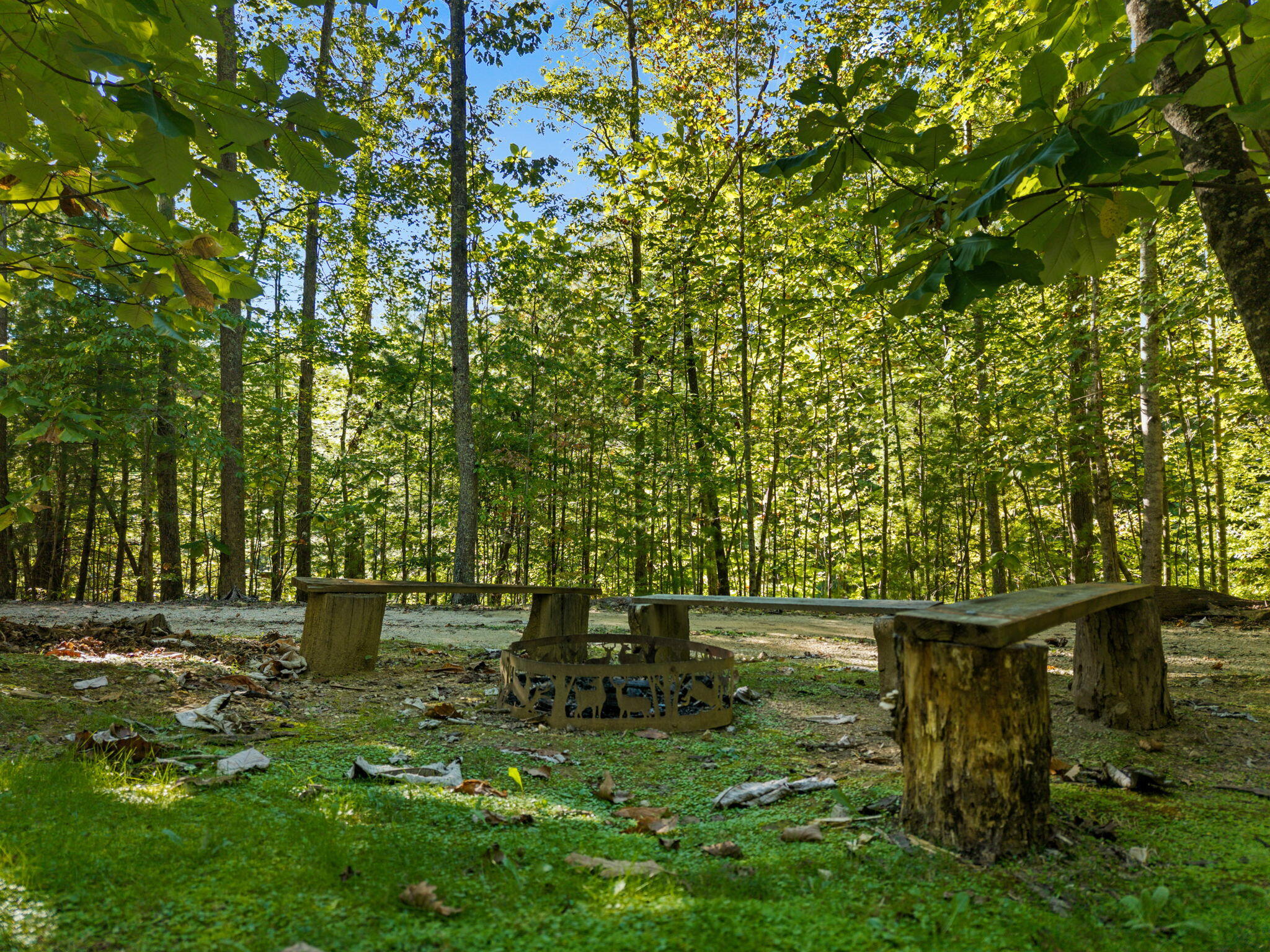 637 Eagle Ridge Road Zoe, KY 41397 - Photo 8 of 47 17-web-or-mls-DJI_20260929170012_0045_D