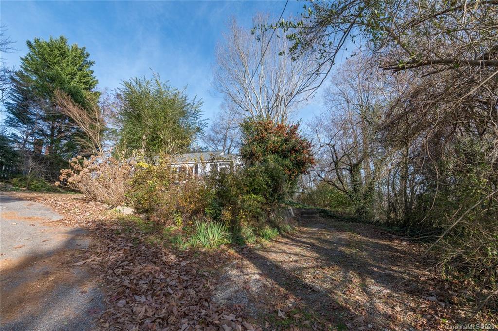 243 Woodland Road Tryon, NC 28782 - Photo 24 of 24 a view of a yard with plants and trees