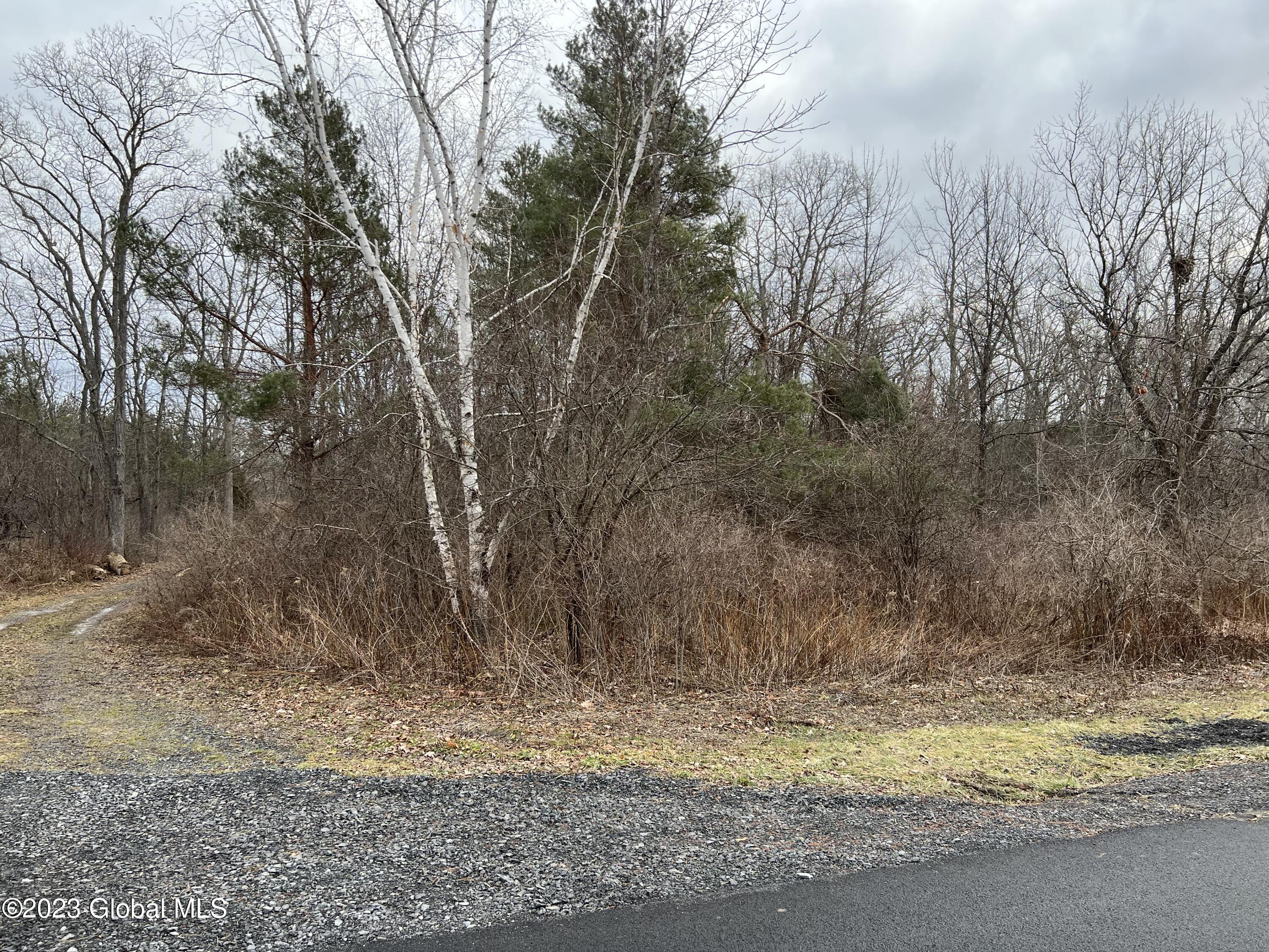 0 Spore Road Bethlehem, NY 12054 - Photo 2 of 8 Far left