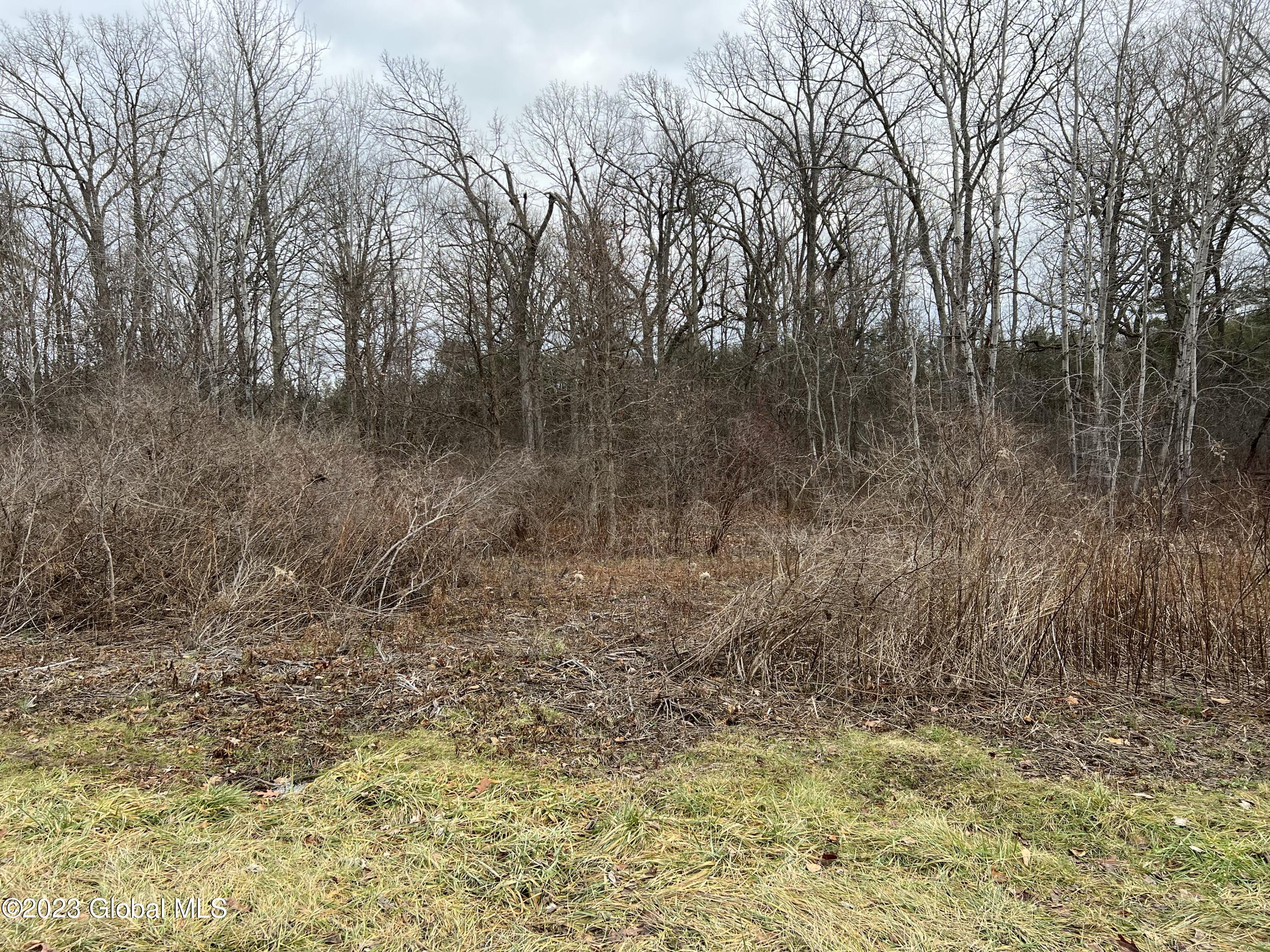 0 Spore Road Bethlehem, NY 12054 - Photo 3 of 8 Far left 1