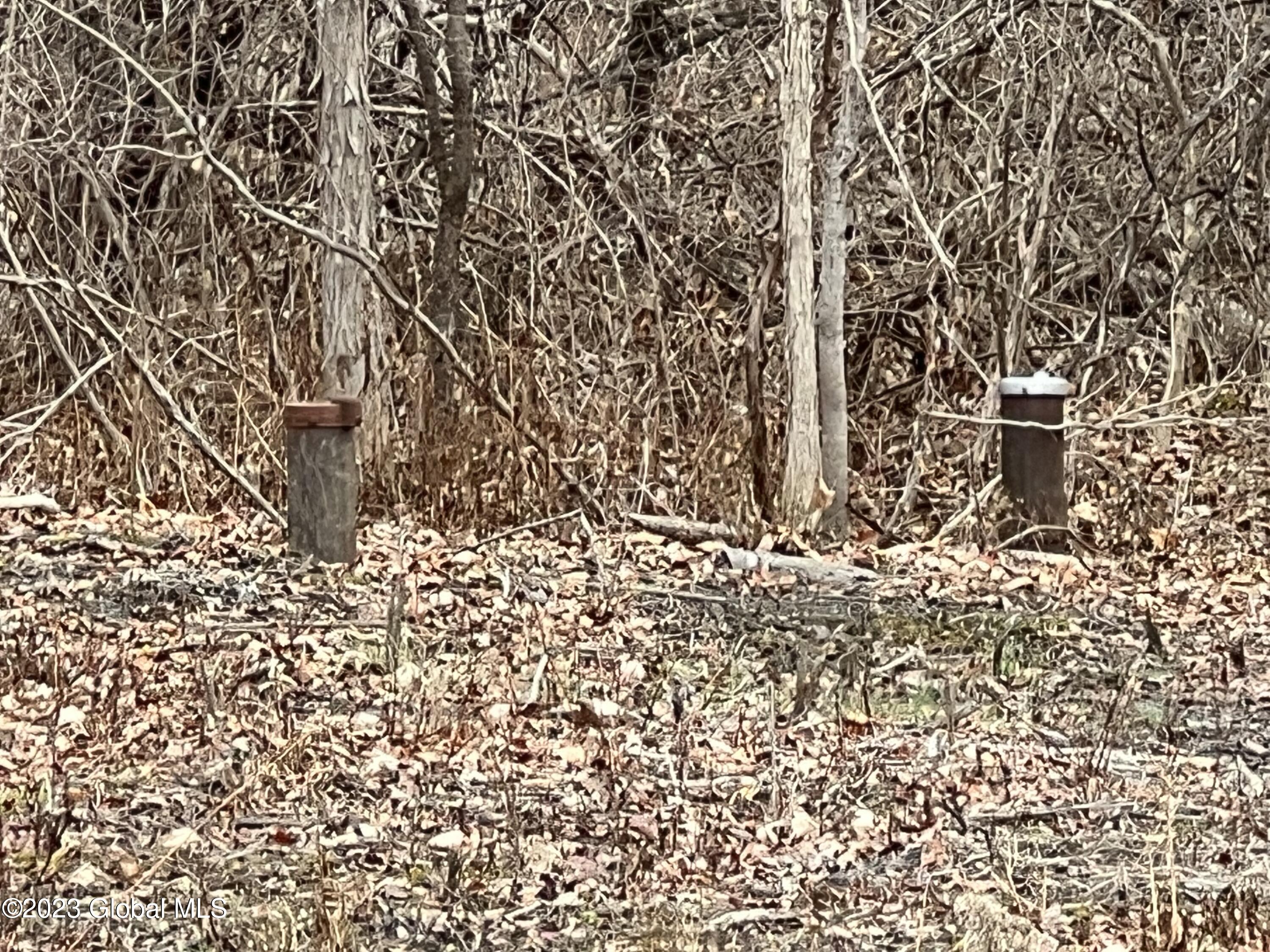 0 Spore Road Bethlehem, NY 12054 - Photo 4 of 8 Two wells