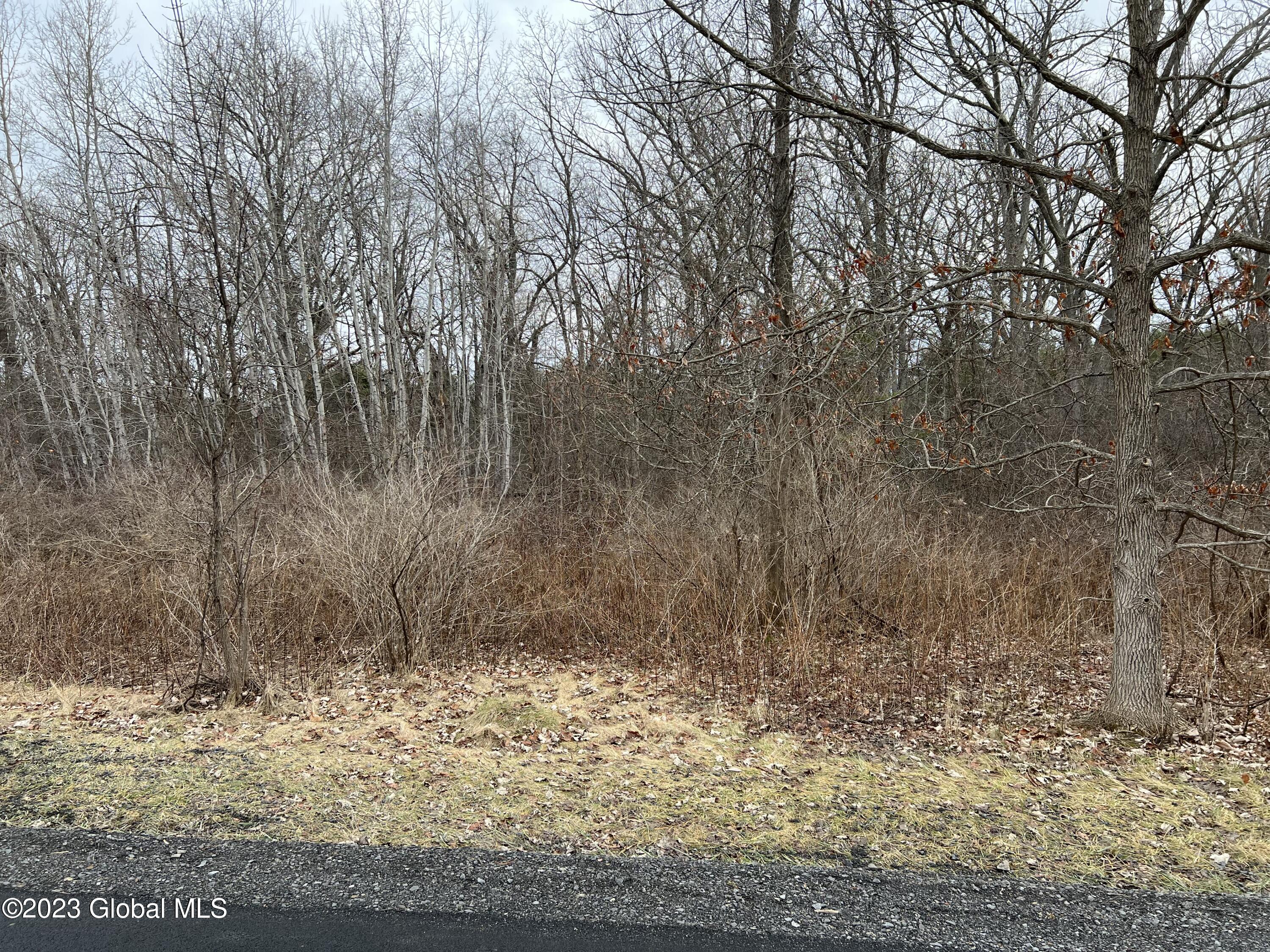 0 Spore Road Bethlehem, NY 12054 - Photo 5 of 8 Far right 1