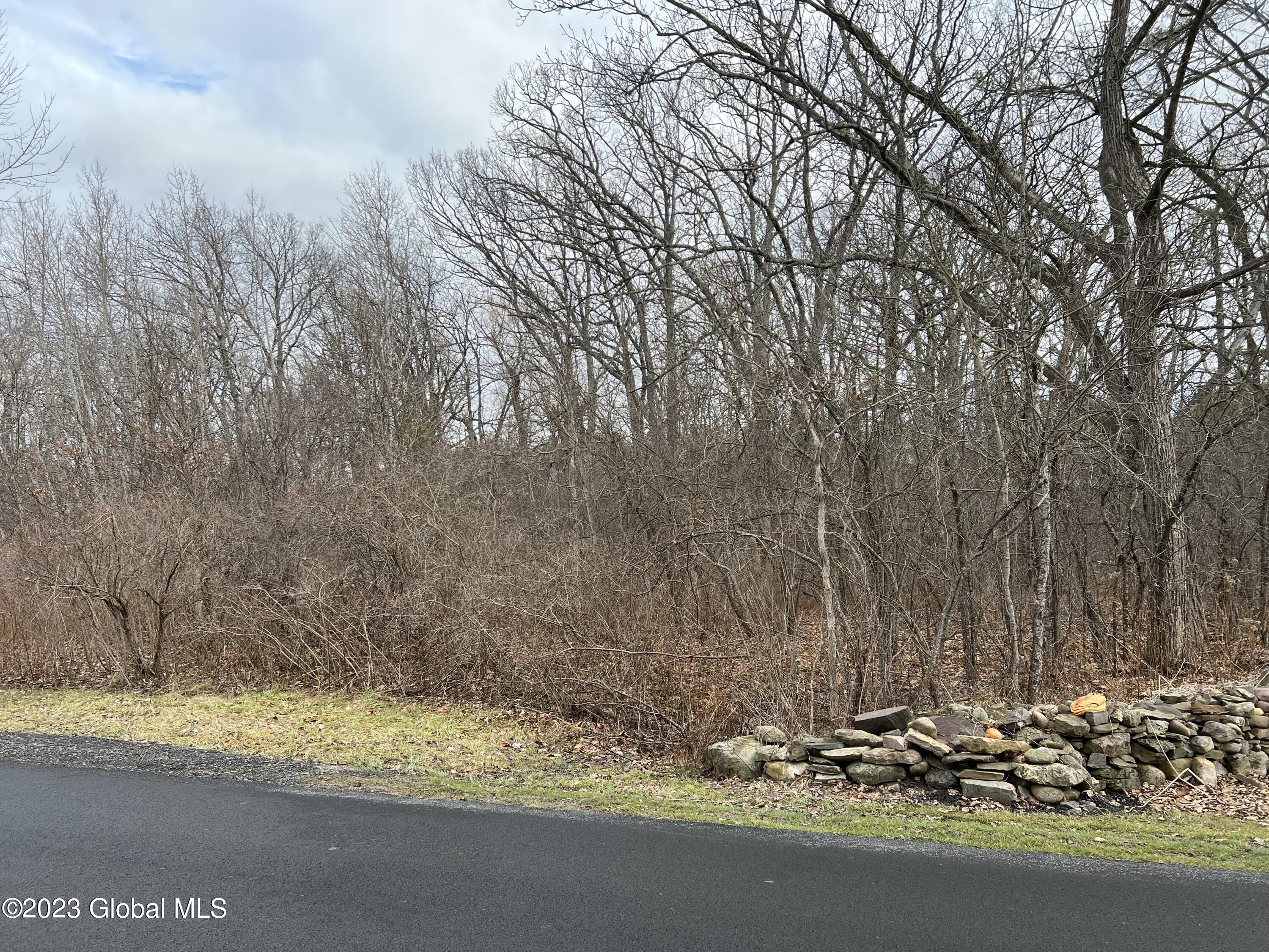 0 Spore Road Bethlehem, NY 12054 - Photo 6 of 8 Far right