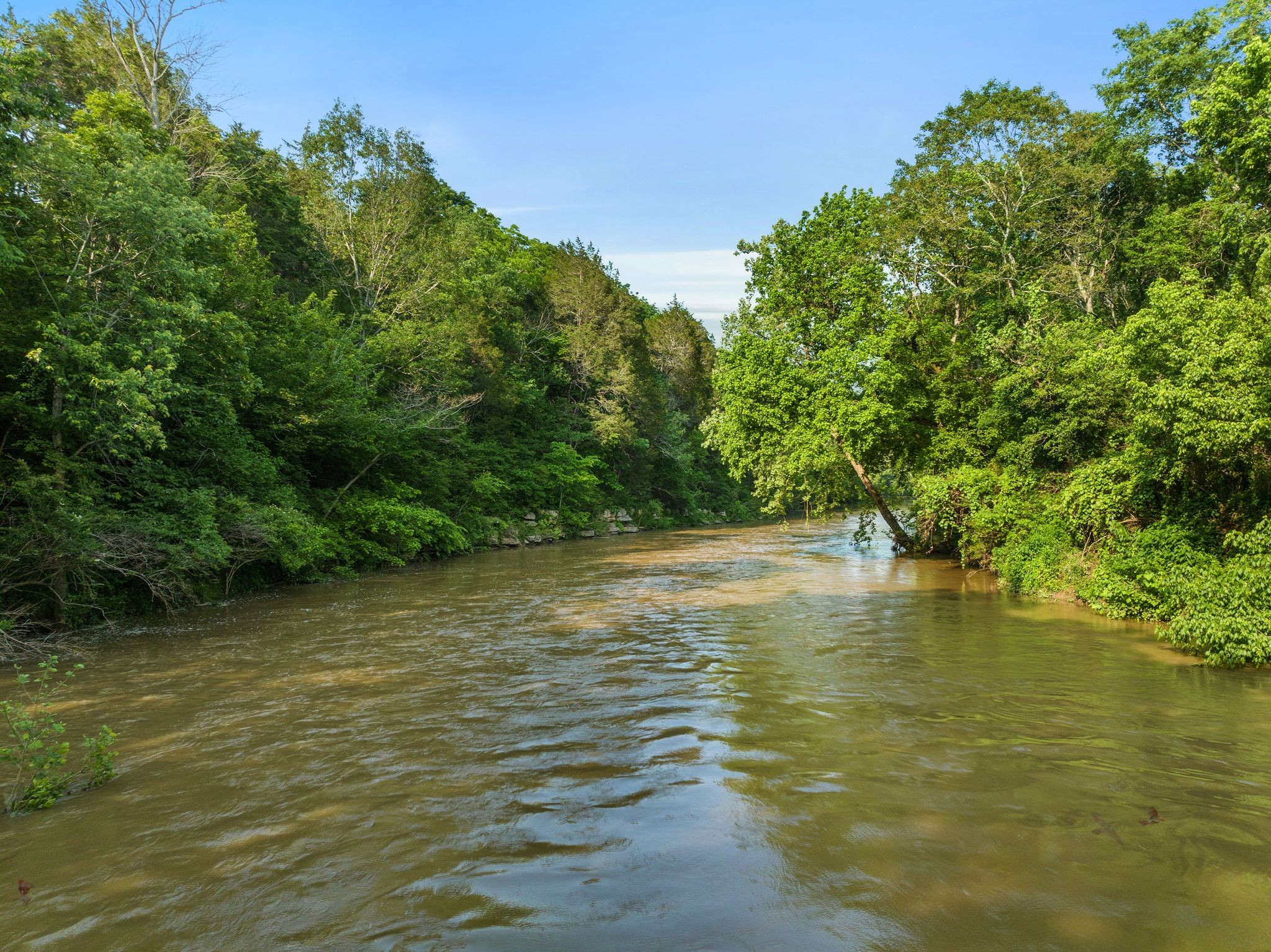 1577 Moran Road Franklin, TN 37069 - Photo 23 of 70