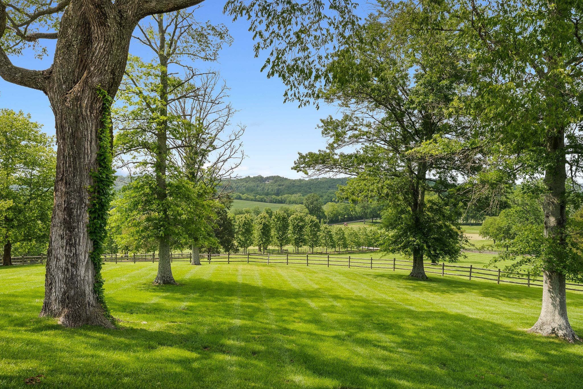 1577 Moran Road Franklin, TN 37069 - Photo 24 of 70