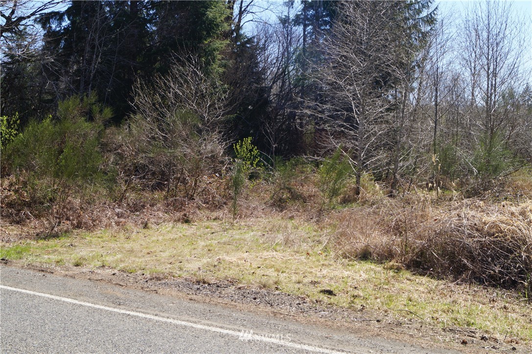 1910 North River Road Cosmopolis, WA 98537 - Photo 1 of 9 Gallery Image 1