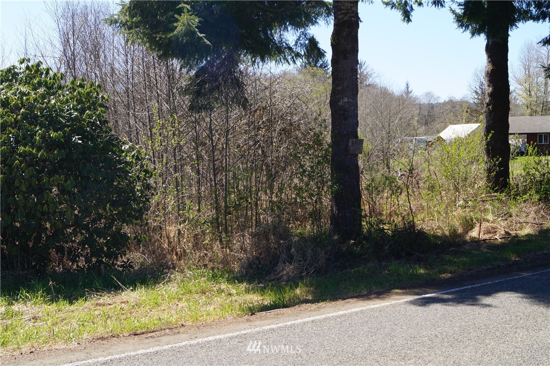 1910 North River Road Cosmopolis, WA 98537 - Photo 2 of 9 Gallery Image 2