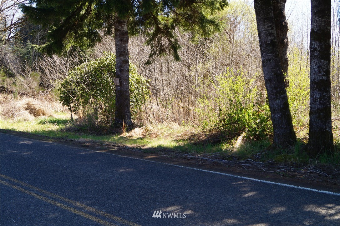 1910 North River Road Cosmopolis, WA 98537 - Photo 4 of 9 Gallery Image 4