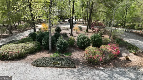 a garden view with lots of plants and trees