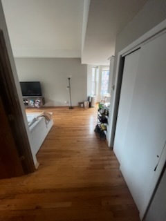 901 West Dakin Street, Unit 2E Chicago, IL 60613 - Photo 3 of 18