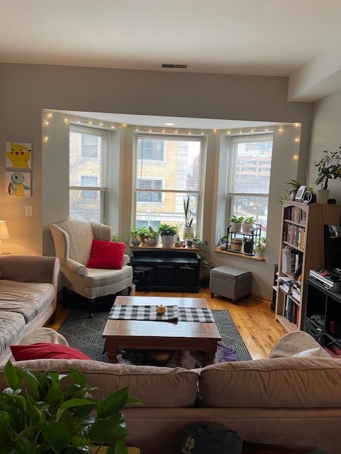 901 West Dakin Street, Unit 2E Chicago, IL 60613 - Photo 4 of 18