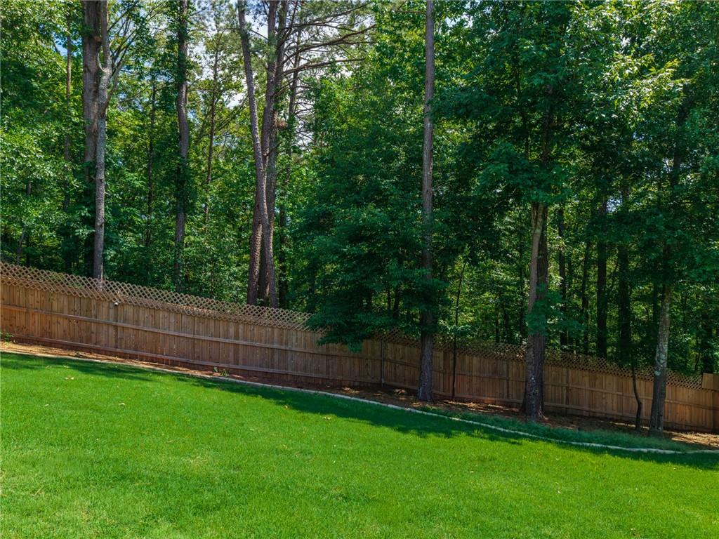 30 Branchcreek Pass Cartersville, GA 30121 - Photo 44 of 52