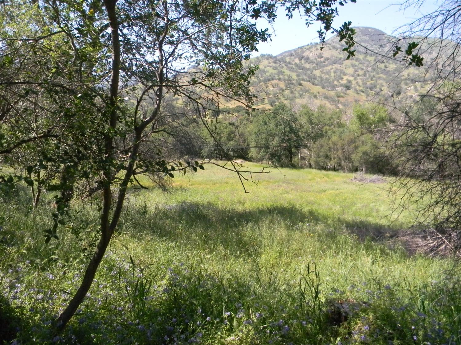 42486 Sierra Drive Three Rivers, CA 93271 - Photo 20 of 36 Gallery Image 20