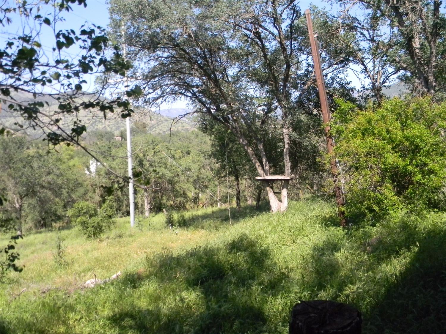 42486 Sierra Drive Three Rivers, CA 93271 - Photo 28 of 36 Gallery Image 28