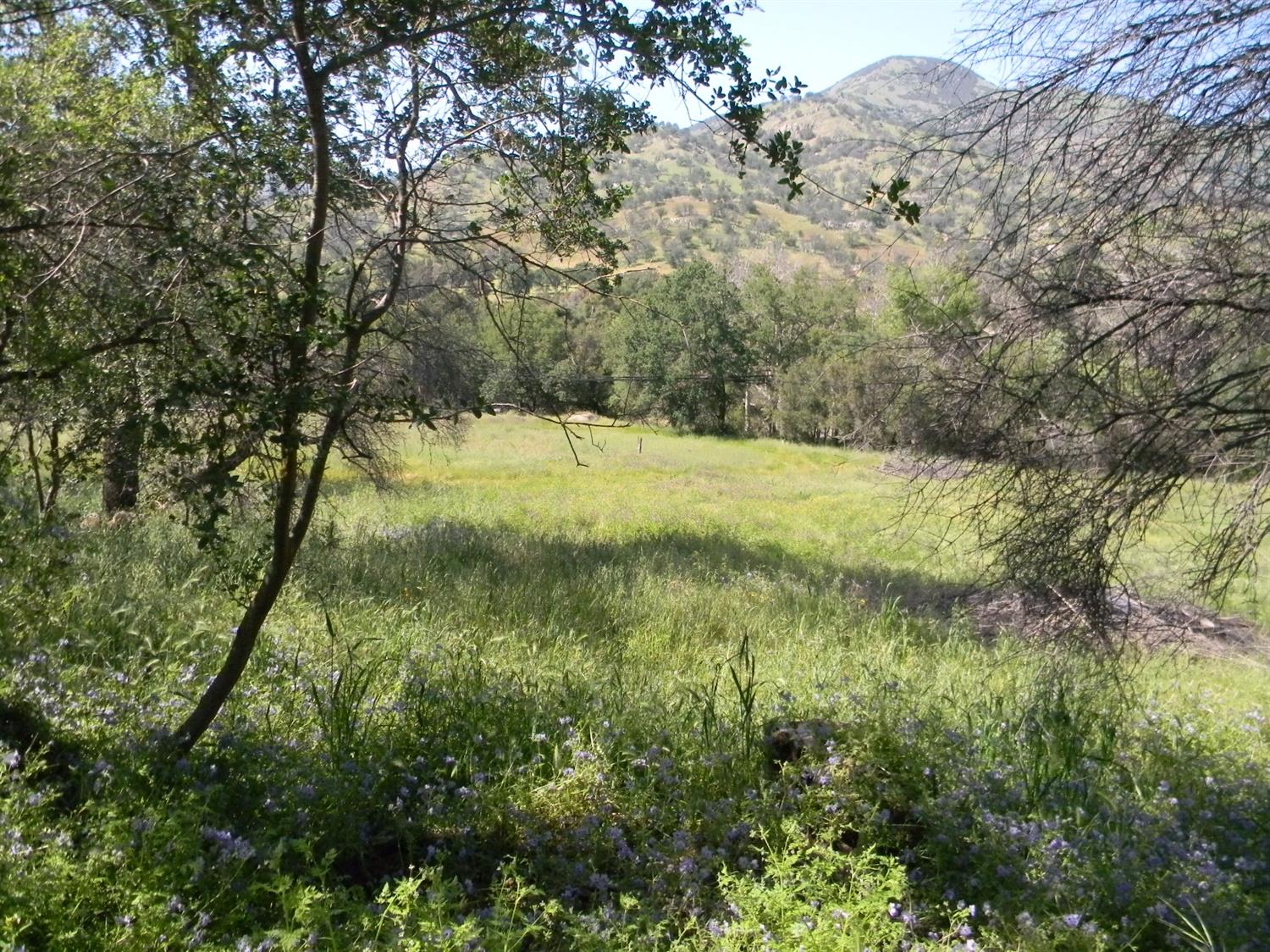 42486 Sierra Drive Three Rivers, CA 93271 - Photo 32 of 36 Gallery Image 32