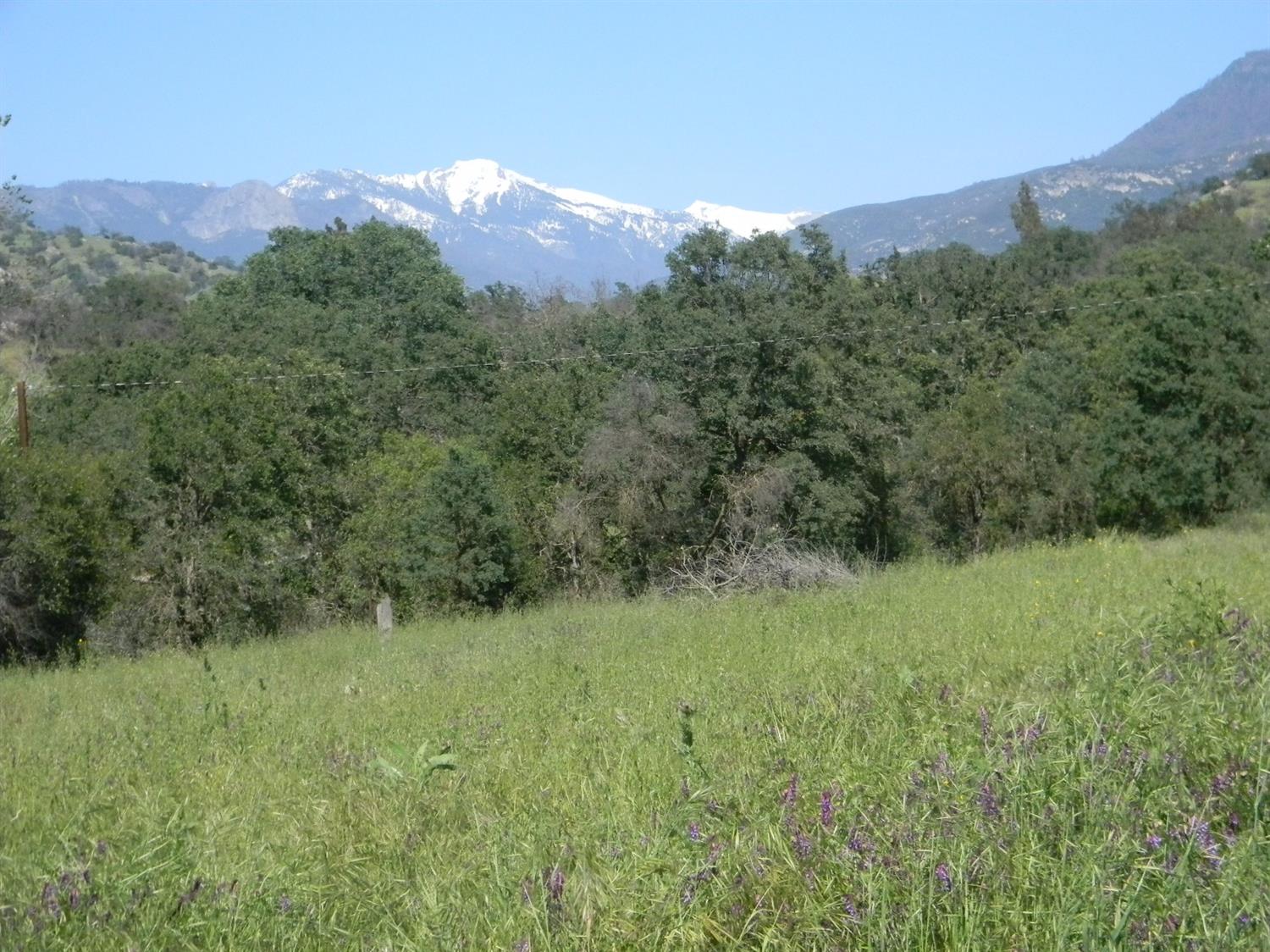 42486 Sierra Drive Three Rivers, CA 93271 - Photo 35 of 36 Gallery Image 35