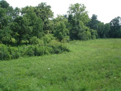 3663 Crowe Ridge Road Winchester, KY 40391 - Photo 4 of 6 Photo 4