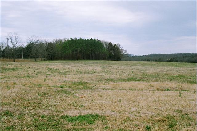 6 Big Springs Road Lebanon, TN 37087 - Photo 3 of 4