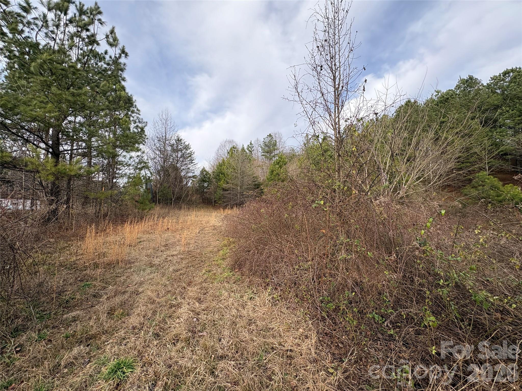 0 Scroggs Cemetery Road, Unit 1 Statesville, NC 28677 - Photo 11 of 13 a view of a lake with lots of trees