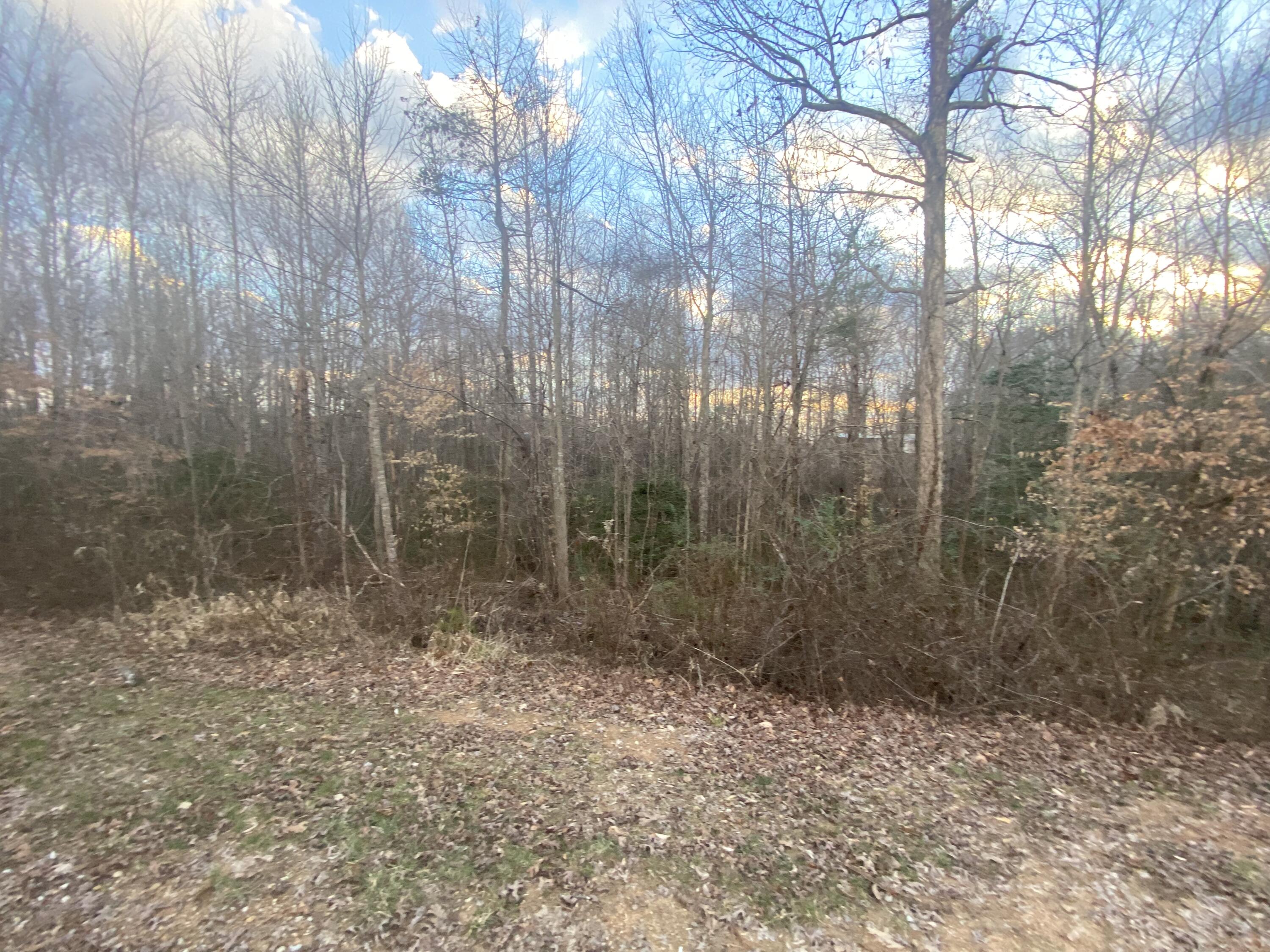 150 Wagon Ridge Road Stearns, KY 42647 - Photo 27 of 31 IMG_5046