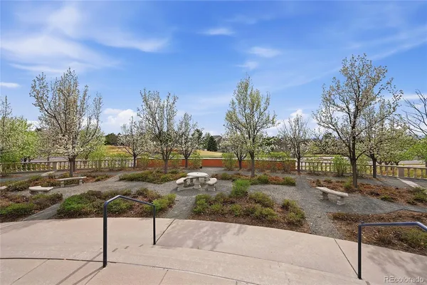 a view of a garden from a roof