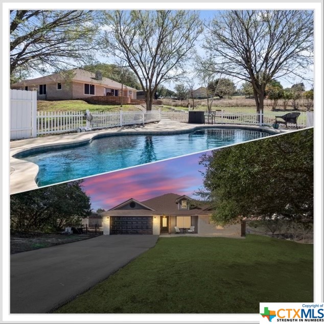 a view of a yard with plants and trees