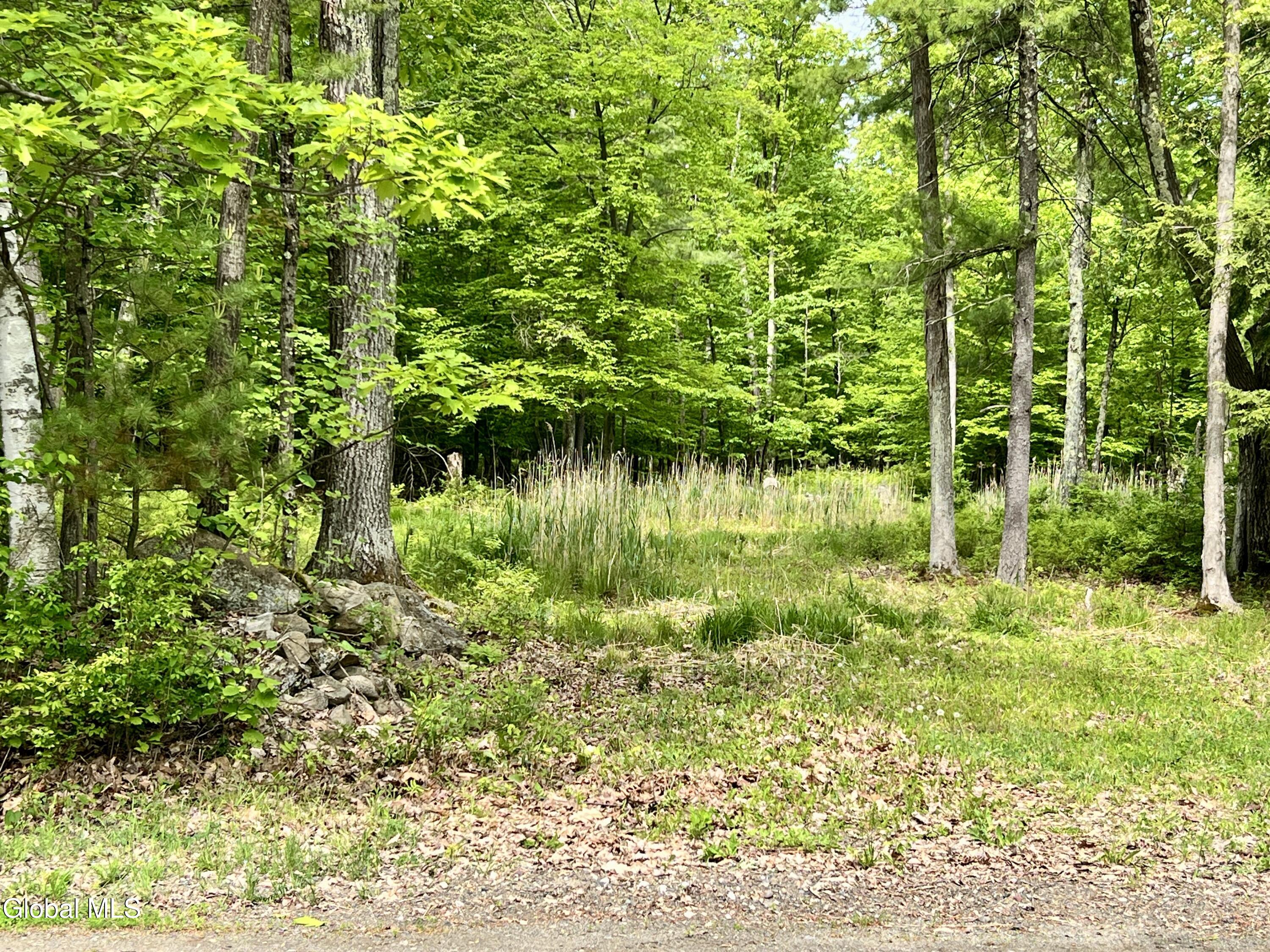 25 Catlin Road Poestenkill, NY 12018 - Photo 4 of 14 IMG_8992
