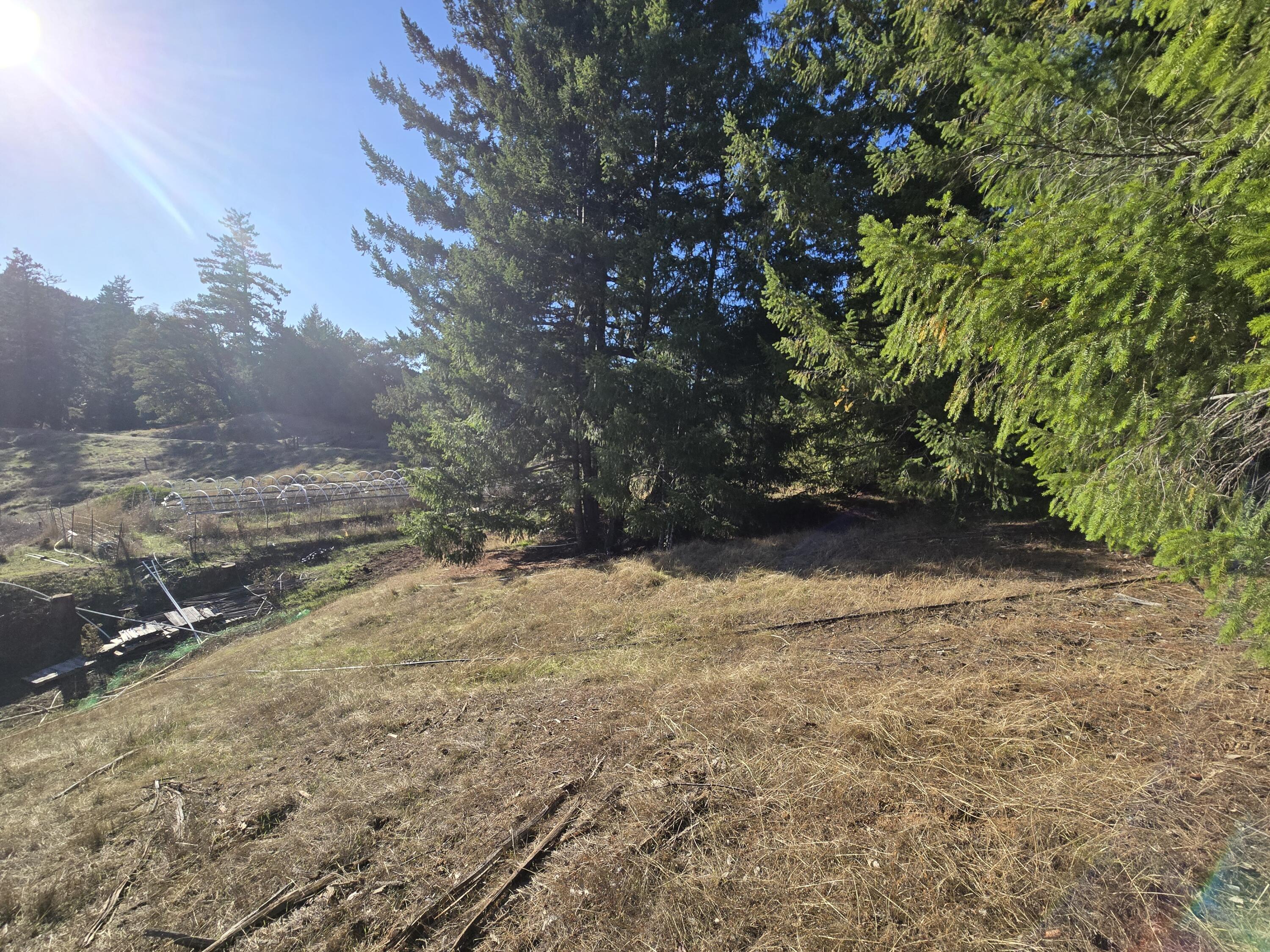 0 Bellus Road Garberville, CA 95542 - Photo 19 of 28