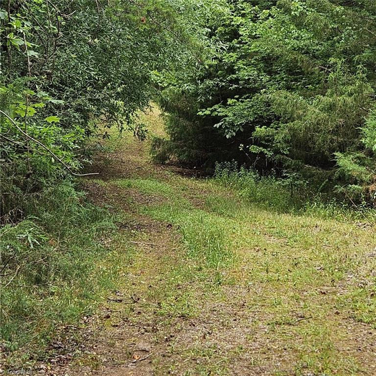 2025 Lace Knoll Road East Bend, NC 27018 - Photo 38 of 42