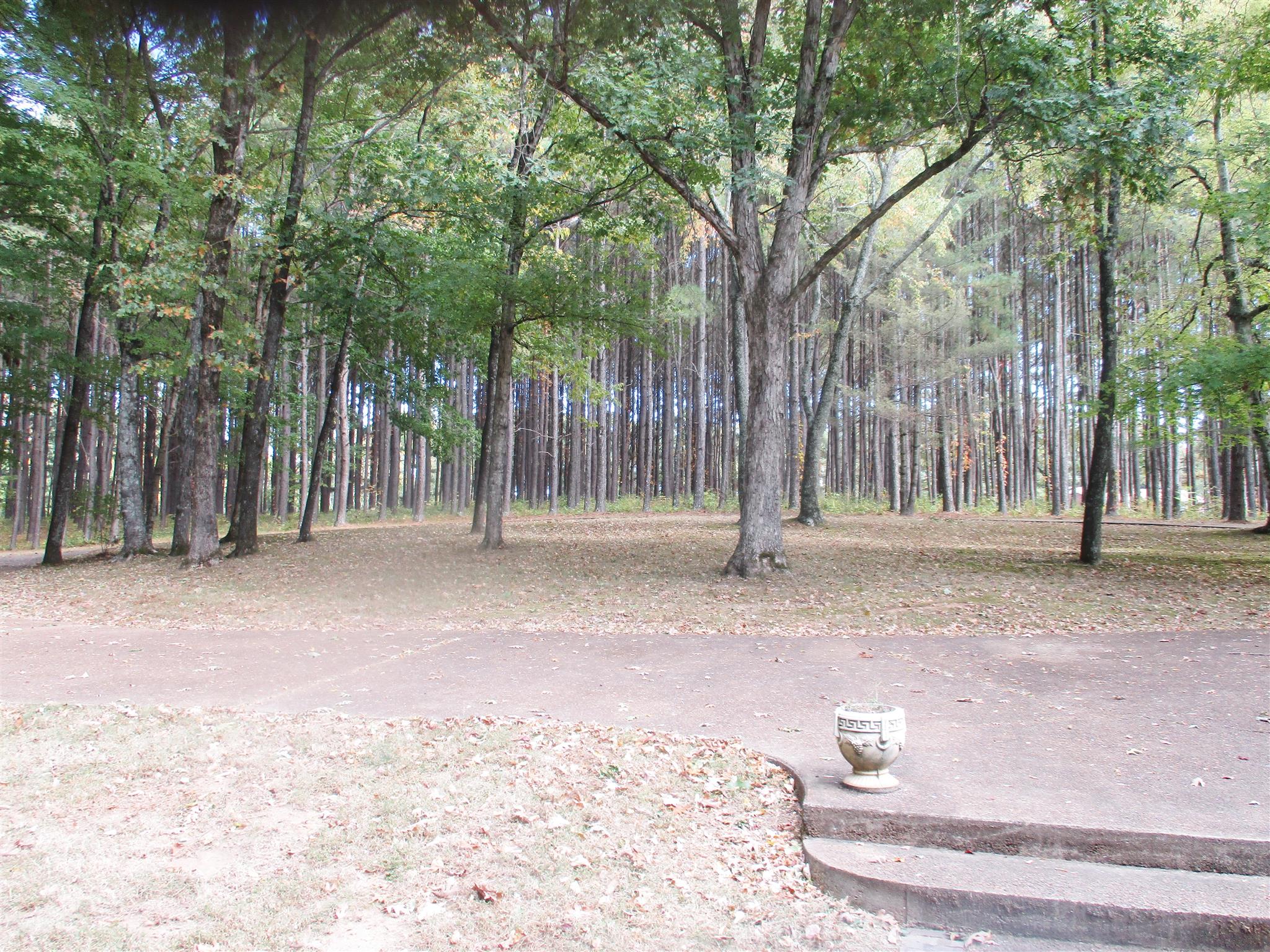 1073 West Point Road Lawrenceburg, TN 38464 - Photo 5 of 24 a view of outdoor space with deck and tree