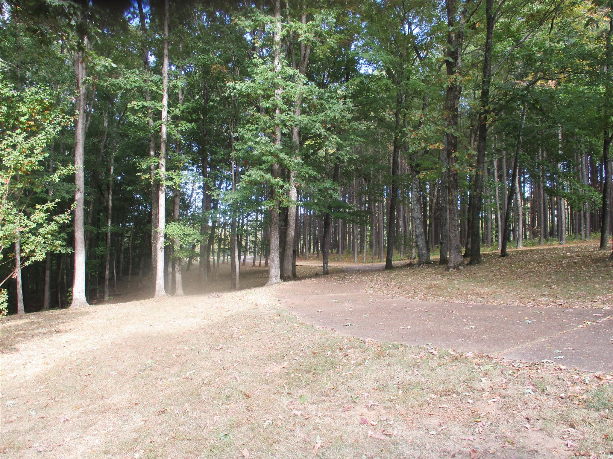 1073 West Point Road Lawrenceburg, TN 38464 - Photo 6 of 24 a backyard of a house with lots of green space and trees