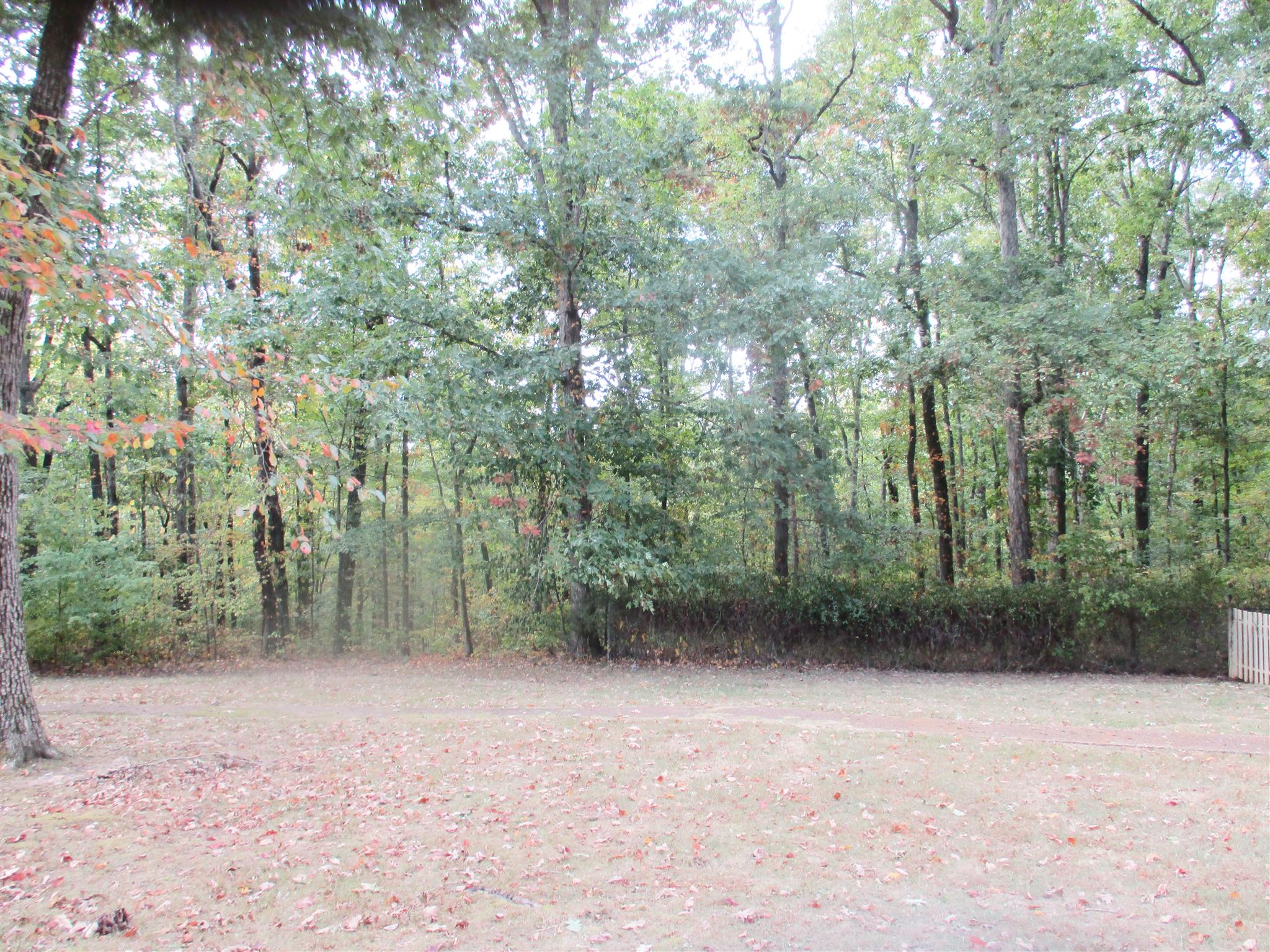 1073 West Point Road Lawrenceburg, TN 38464 - Photo 7 of 24 a view of outdoor space and yard